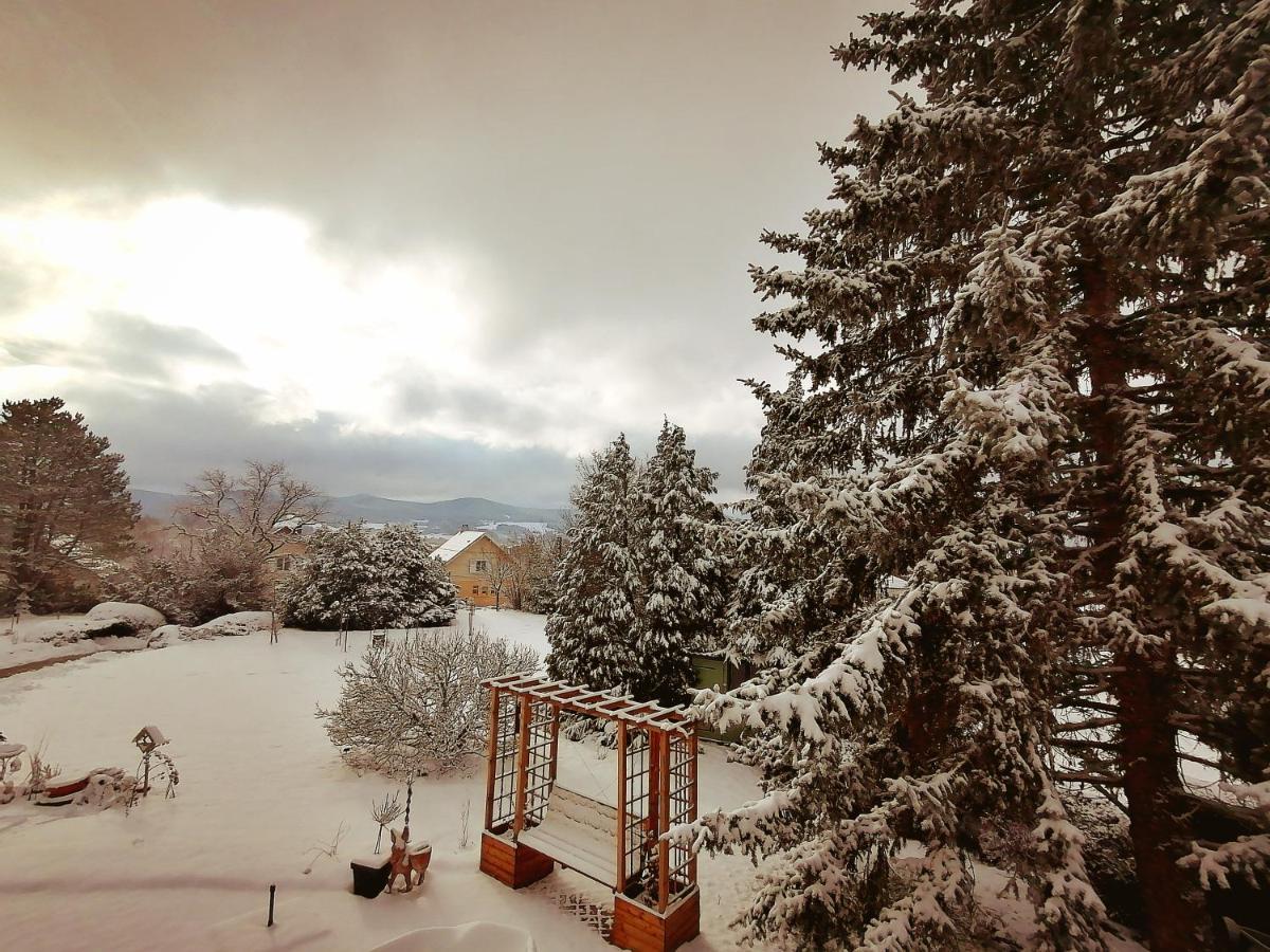 Chambres D'Hotes De L'Avison Bruyeres ภายนอก รูปภาพ